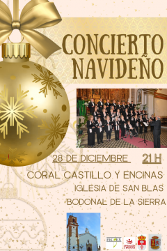 Concierto navideño